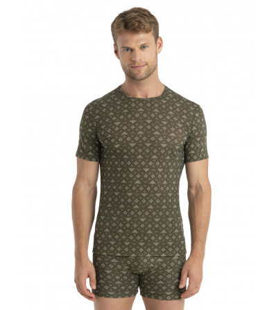 Блуза Icebreaker M's Merino 150 Anatomica Short Sleeve T-Shirt First Snow Winter 2024