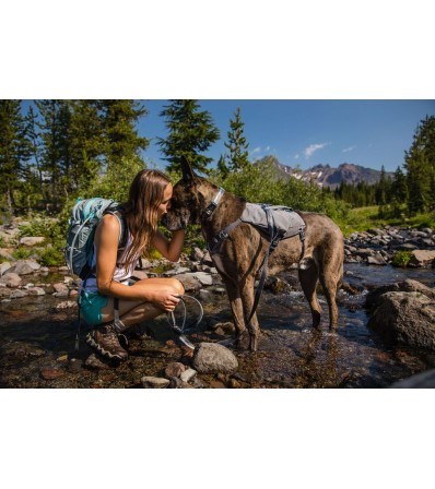 Нагръдник Ruffwear Switchbak Harness